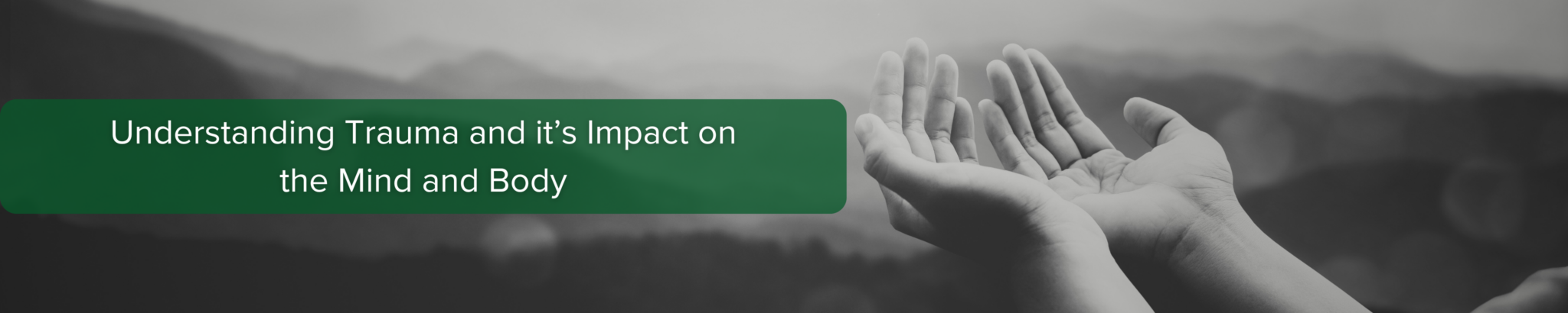 Understanding Trauma and it’s Impact on the Mind and Body - Employability